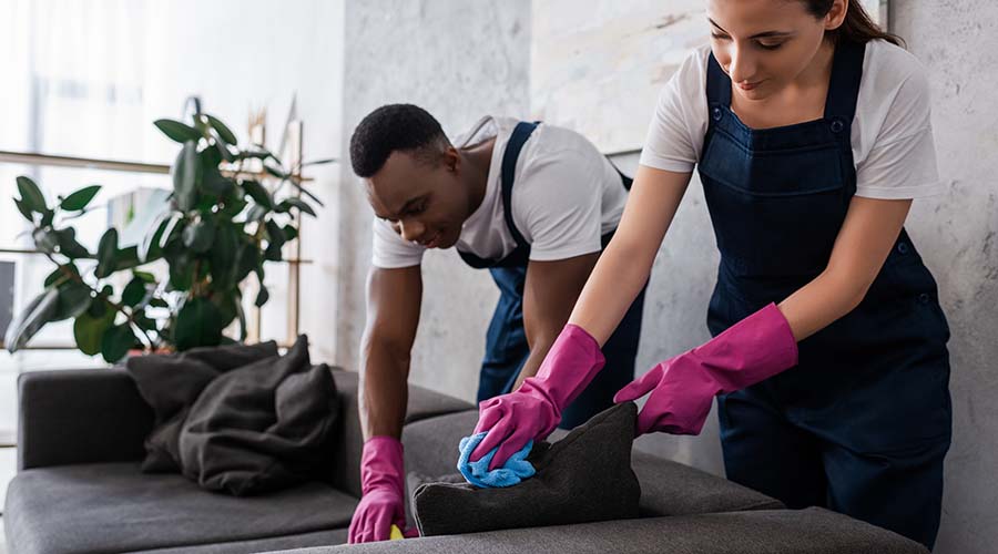 Focus Care and Cleaning Professional Standards